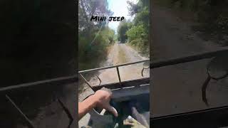 Kids Jeep Willys 150cc - Drive