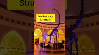 Real Dinosaur Body Structure #dubaimall #real #dubai #dinosaur #animals #ytshorts #reels #movement