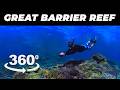 360 Video - Great Barrier Reef Australia - Under the surface