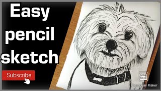 Cute Dog Drawing Easily For Beginners Step by step|Easy Pencil Sketch For Beginners Step by step