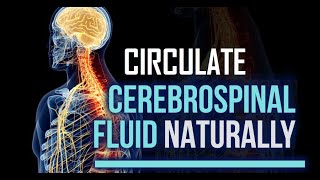 Brain's Physio Cranial Sacral CSF (Cerebral Spinal Fluid) pump + how to activate it