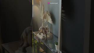1080 Sky Haul Elevate Your Shopping Experience 2024 08 05