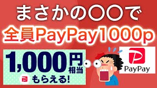 PayPay1000p貰えるキャンペーンがヤバかった…