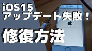 【iPhone】iOS15アップグレード失敗！不具合から修復方法Tenorshare【ReiBoot】