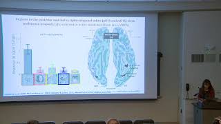 Eccentricity and the Development of the Human Ventral Visual Stream