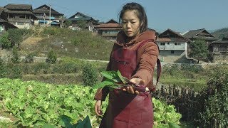 午饭炒什么菜？燕子去菜园转一圈回来就炒一桌美味菜肴，看饿了