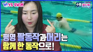 수영피드백 7화) 평영 팔동작과 머리는 함께 한동작으로!!!!