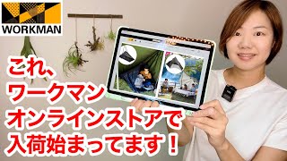 【ワークマンキャンプギア】新作入荷！オンラインストア入荷状況を解説/入手確率UPの情報も