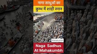 Naga Sadhus In Mahakumbh | Shahi Snan #nagasadhu #shahisnan2025 #mahakumbh #shorts #aghori