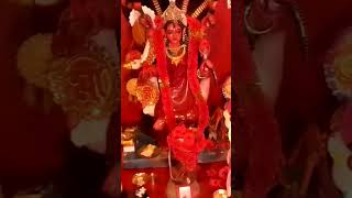 জয় জয় মা মনসা আমার ভক্তরা যেন ভালো থেকো 🙏🙏🌺🌺🌿🪔