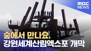 숲에서 만나요, 강원세계산림엑스포 개막 (2023.09.22/뉴스데스크/MBC강원영동)