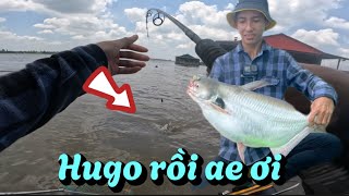 Tập câu cá dồ đém, đụng độ hàng khủng ngay lần đầu câu #1 #fishing #cauca