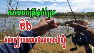 Fishing striped snakehead #ត្រីខាំល្អៗ តែរបៀបលេងមិនល្អ #ប្លង់ថ្មី #ស្រុកក្រឡាញ់ #ខេត្តសៀមរាប #fish