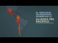 mercosur bilanz nach 25 jahren