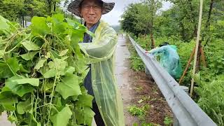 제천귀농귀촌협의회 서부지회 마을공동체 활동