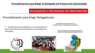 Procedimiento para Elegir el Delegado o Delegada de Prevención (Venezuela)