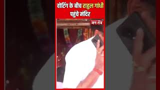 Rahul Gandhi ने रायबरेली के पिपलेश्वर हनुमान मंदिर में की पूजा #shorts #ytshorts #election2024 #jtv