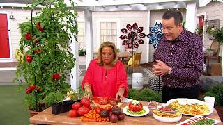 Ultimate Innovations 4-pc. Organic Heirloom Tomato Plants on QVC