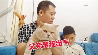 熊孩子把朋友带回家，对着猫咪拳打脚踢，父亲气的直接发飙！