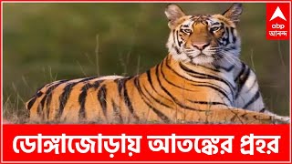 Kultali Tiger: চারদিন কেটে গেলেও অধরা বাঘ, আতঙ্কের প্রহর গুনছেন ডোঙ্গাজোড়াবাসী | Bangla News