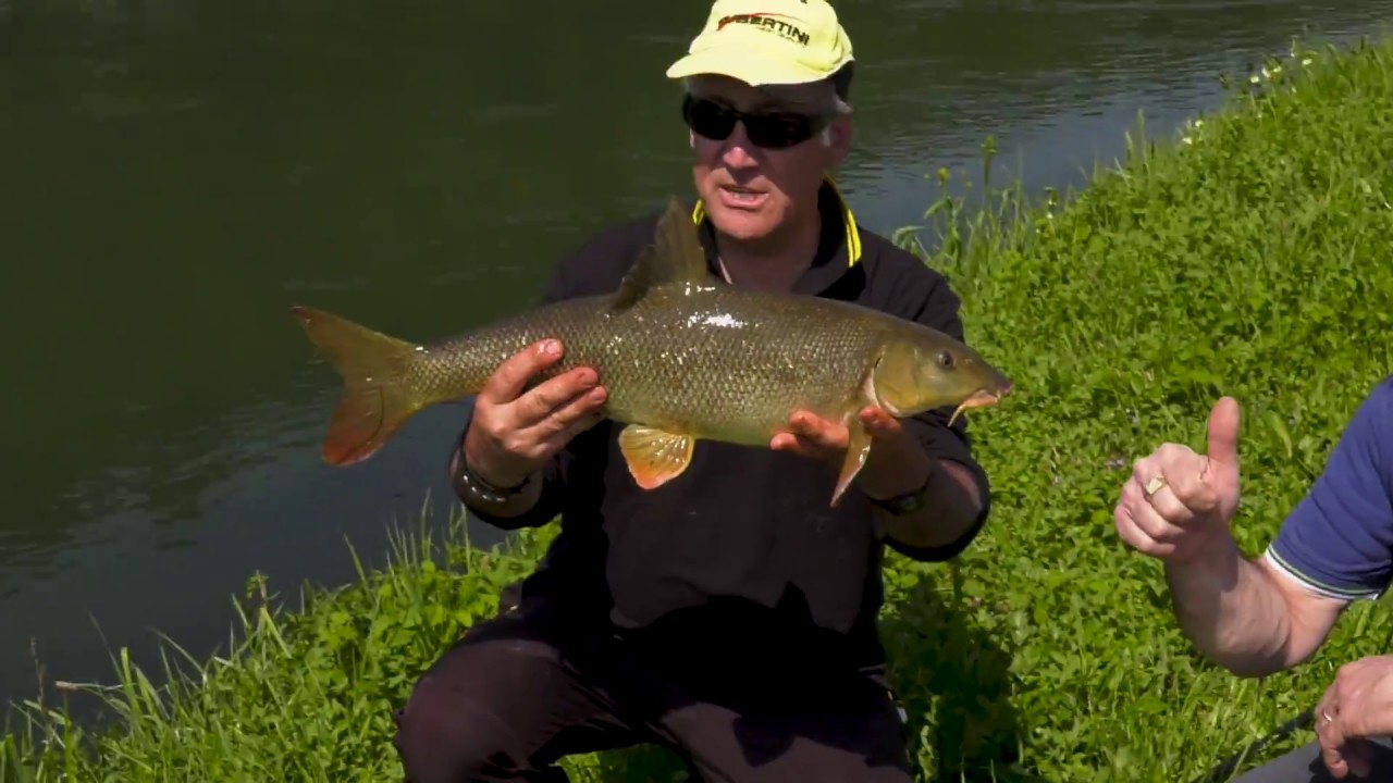 Feeder In Tour Muzza Tubertini Youtube