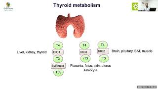 MedEClasses Module Thyroid Metabolism.