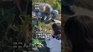 【かっぱこShortVlog】# 29「おじいちゃん👨」と「孫👩」の会話💓#shorts