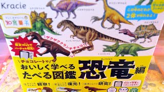 クラシエの知育菓子　おいしく学べるたべる図鑑 恐竜編🌋⛰🦖🦕⛰🌋