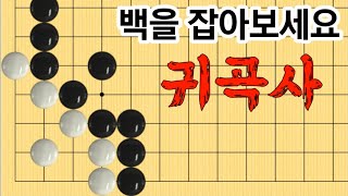 귀곡사 #6 (4문제) 난이도는 점점 상승해요!