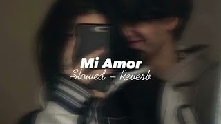 Mi Amor (Slowed + Reverb) || Sharn || Desi Avenue
