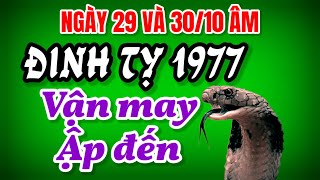 Tử Vi Xác Nhận. Đinh Tỵ 1977 Gặp Vận May Vào Ngày 29 Và 30/10 Âm, Giấc Mơ Giàu Sang Thành Hiện Thực