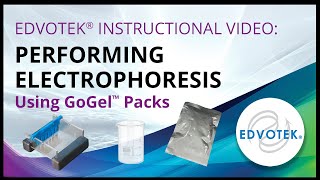 Edvotek Instructional Video: Performing Electrophoresis Using GoGel Packs