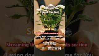 毋忘祢【粵語詩歌】Forget You Not; Always remember Jesus' sacrifice #敬拜詩歌 #廣東話詩歌 # 粵語詩歌 #敬拜讚美 # 基督救恩 2