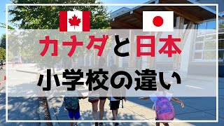 【海外移住】カナダと日本の小学校の違い５選