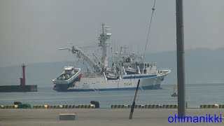 6月10日　巻き網船の出港(Departure of purse seine ship)