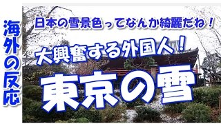 【海外の反応】東京で降った雪に大興奮する外国人！