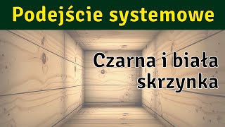 Podejście systemowe #3 - Czarna i biała skrzynka