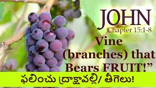 Sermon : Vine (branches) that Bears FRUIT!( ఫలించు ద్రాక్షావల్లి/ తీగెలు) by Rev. John Billa