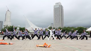 滋賀大学よさこいサークル椛 📍Sailing KOBE 2023 (サブ会場) 2023-07-08T11:00