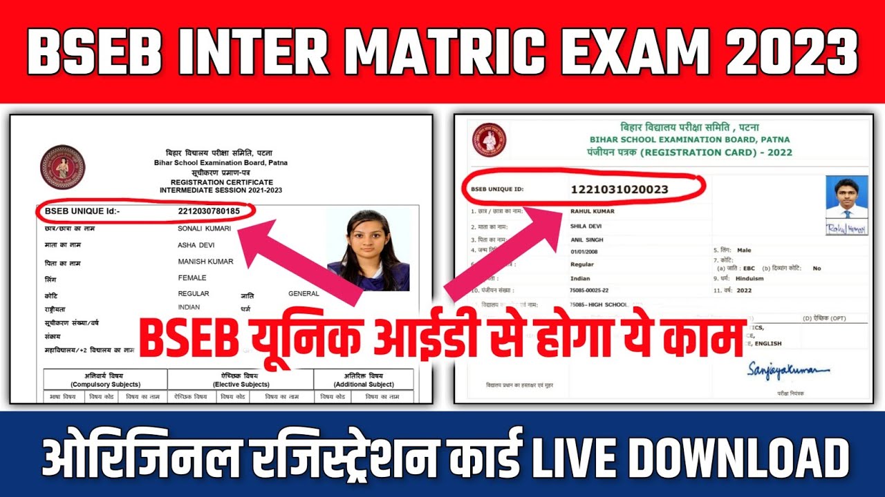 Bihar Board Matric Inter Original Registration Card Download 2023| BSEB ...