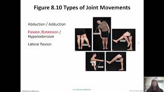 Joints of the Skeletal System Chapter 8