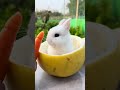 Cute Babbled Babies-Coco does not like carrots