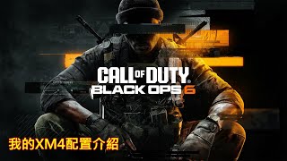 [PS5][決勝時刻: 黑色行動6]我的XM4配置