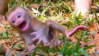 OH NO...! Baby cries heartbreak on the angry mommy, pushing and leaving her to stay alone.