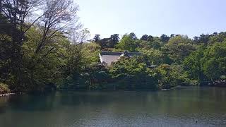 井の頭公園　春　七井池　弁財天　2021年4月18日