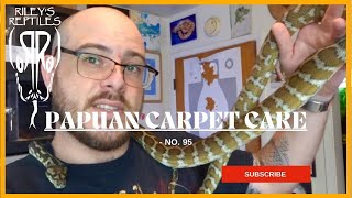 Papuan Carpet Care - no. 95