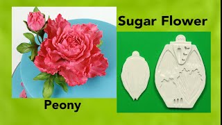 Edible Sugar Flower: The Classic Peony
