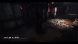 5億年ぶりのDBD　キラー　ナース