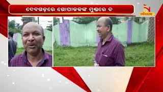 Cases of lumpy skin disease in cattle on rise In Odisha's Debagarh | Nandighosha TV