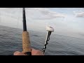 sailfish on a flats boat